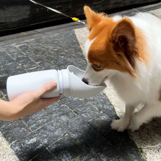 Jolbi Daily-Portable Dog Water Bottle 550ml – Travel Pet Water Feeder for On-the-Go Hydration